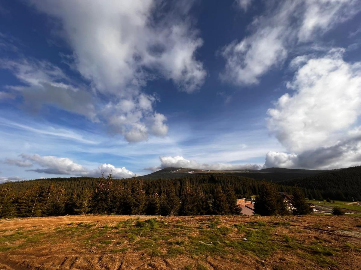 Heaven'S Cabins Tău Bistra 外观 照片